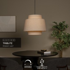 Подвесной светильник Lucide TRIBUTE 21435/60/38