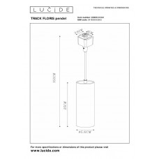 Потолочный светильник Lucide TRACK FLORIS pendel 09955/01/02