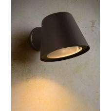 Уличный настенный светильник Lucide Dingo Led 14881/05/30
